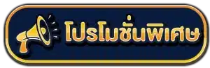 โปรพิเศษ